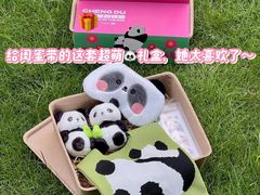 -成都大熊猫繁育研究基地