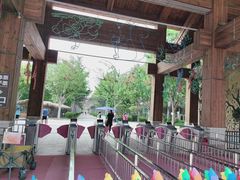 -南宫五洲植物乐园