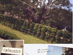 -Mr.J义法厨房(北医店)