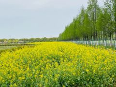 -嘉北郊野公园