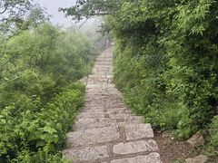 -北京凤凰岭