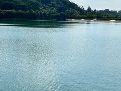 -水濂山森林公园