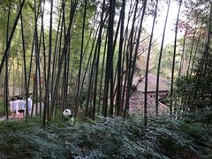 -天目湖御水温泉·度假酒店