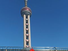 -小杨生煎(东方明珠店)