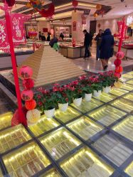 -中国黄金(北京旗舰店)