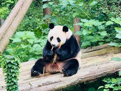 -红山国家森林公园