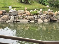 -石排湾郊野公园