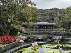 -云溪植物园