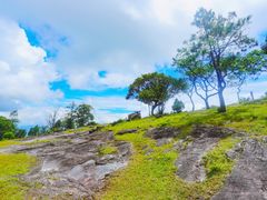 -天龙顶山地公园