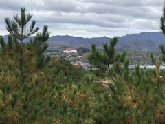 -磬锤峰森林公园