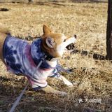 【太阳宫安馨花园】不用去郊区也有大草地
