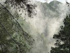 -重庆睡佛山森林公园