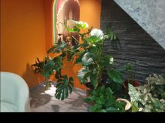 -泰古龙抓龙筋·spa按摩(静安店)