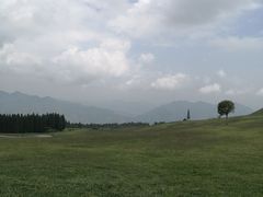 -玉舍国家森林公园