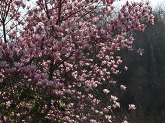 -南京市江宁方山