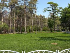 -黑龙江省森林植物园