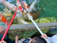 -海合安成都极地海洋公园