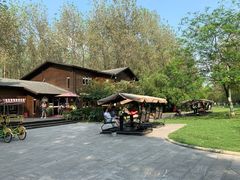 -合肥滨湖国家森林公园