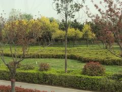 -洨河生态公园