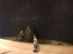 -天津水游城丽筠酒店