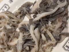 -八合里潮汕鲜牛肉火锅(吉大店)