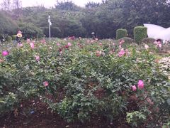 -人民公园(罗湖区)