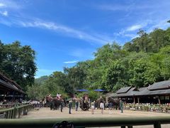 -野象谷景区