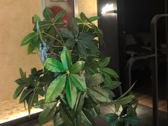 -新紫霞养生·影院足道·SPA(金山区店)