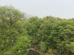 -南京东郊国宾馆