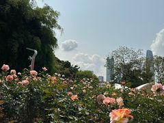 -人民公园(罗湖区)