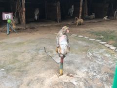 -北戴河集发农业梦想王国