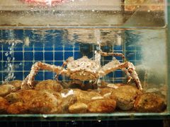 水产区-健眺小海鲜(临海后山店)