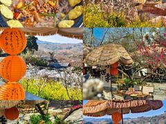 -桃源山庄·水蜜桃采摘·柴火鸡·烧烤团建(龙泉山店)