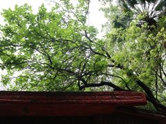-广州兰圃