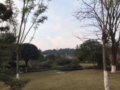 -铁山坪森林公园