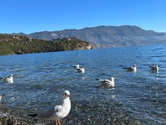 -丽江泸沽湖景区