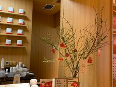-代数学家algebraist(苏州中心店)