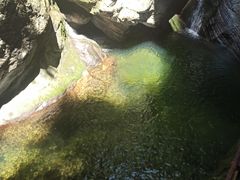 -牛背梁国家森林公园