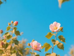 -西安市长乐公园