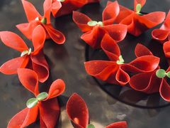 -世博源公馆·本帮融合菜·主题包厢·江景餐厅