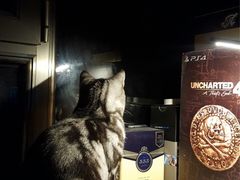 -酷玩e代(鼓楼东大街店)