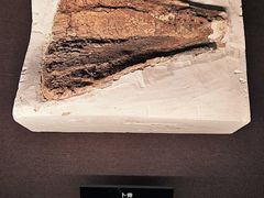 -盘龙城遗址博物院