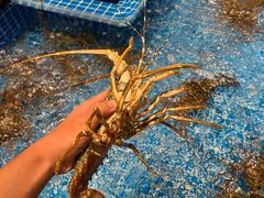 -海月轩海鲜豆捞(紫金塔店)