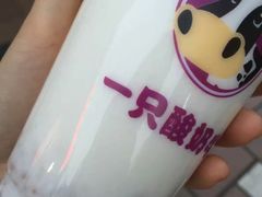 -一只酸奶牛(八一路店)