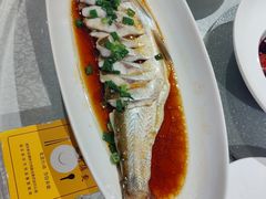 -金美华轩(东方路齐鲁店)