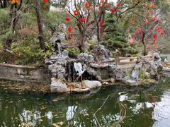 -上海醉白池公园
