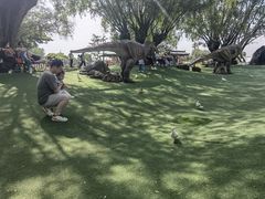 -南通洲际绿博园