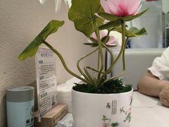 -苏梦江南·淮扬菜(夫子庙店·全天营业中)