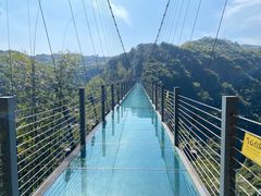 -川西竹海景区