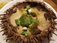 -海胆小馆(东北水饺·春柳店)